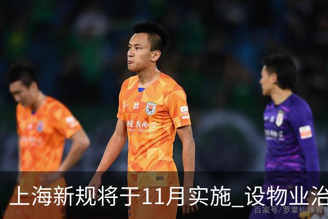 上海新规将于11月实施 设物业治理委员会以加强管理