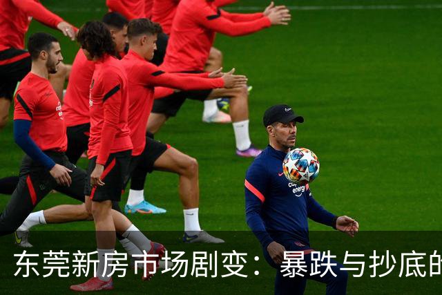 东莞新房市场剧变：暴跌与抄底的背后真相