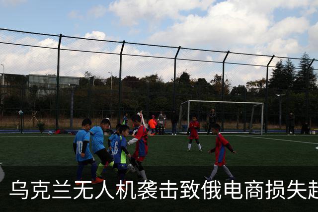 乌克兰无人机袭击致俄电商损失超47亿美元