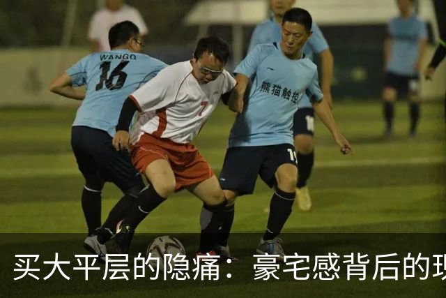 买大平层的隐痛：豪宅感背后的现实