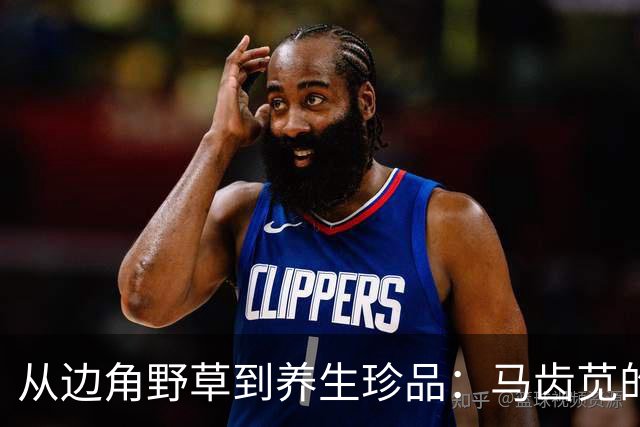 从边角野草到养生珍品：马齿苋的乡土故事