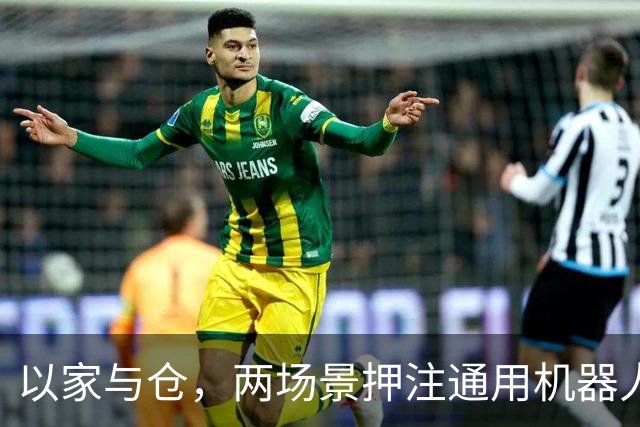 以家与仓，两场景押注通用机器人大脑