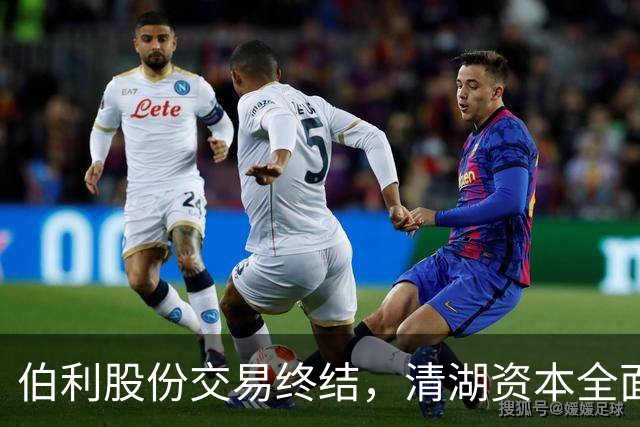 伯利股份交易终结，清湖资本全面掌控切尔西