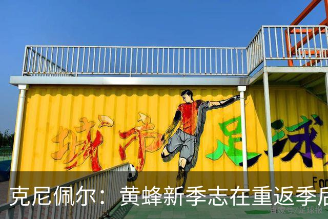 克尼佩尔：黄蜂新季志在重返季后赛