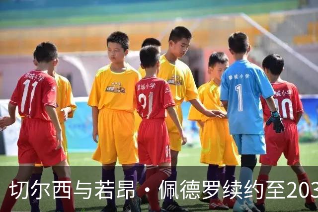切尔西与若昂·佩德罗续约至2032年