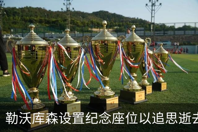勒沃库森设置纪念座位以追思逝去的球迷