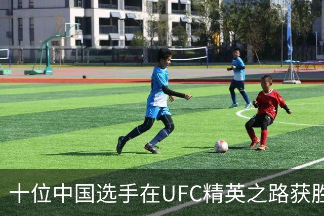 十位中国选手在UFC精英之路获胜 王聪拿下UFC合同