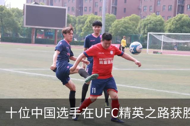 十位中国选手在UFC精英之路获胜 王聪拿下UFC合同