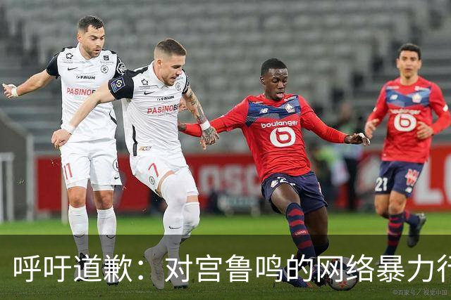 呼吁道歉：对宫鲁鸣的网络暴力行为应被反思