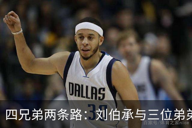 四兄弟两条路：刘伯承与三位弟弟的抉择