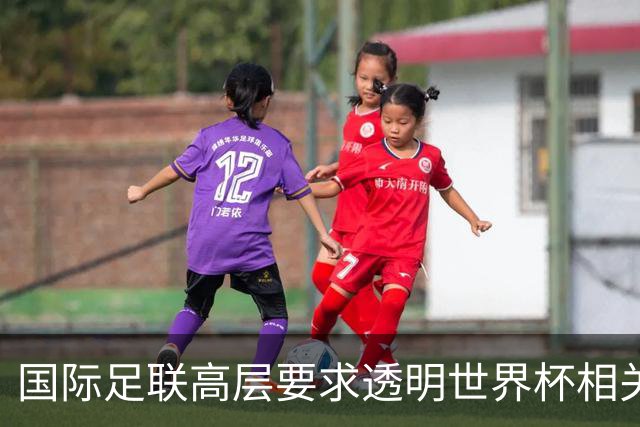 国际足联高层要求透明世界杯相关文件