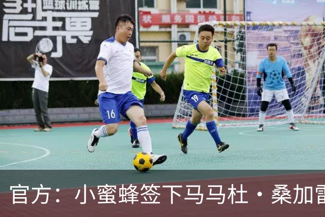 官方：小蜜蜂签下马马杜·桑加雷 据悉转会费4100万镑+创队史纪录
