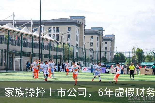 家族操控上市公司，6年虚假财务惊天大剧