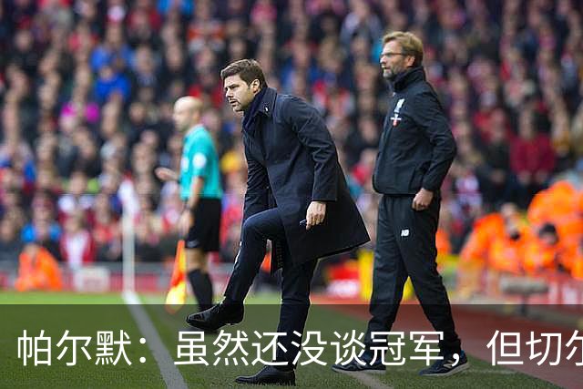 帕尔默：虽然还没谈冠军，但切尔西有争冠实力