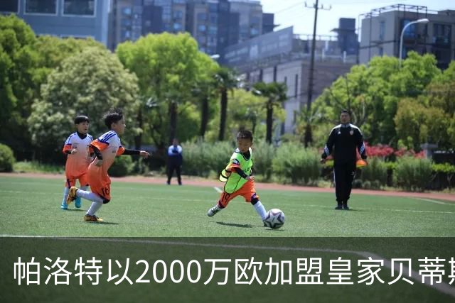 帕洛特以2000万欧加盟皇家贝蒂斯