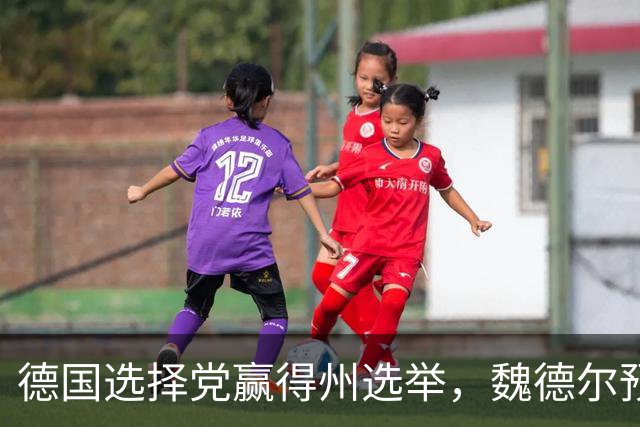 德国选择党赢得州选举，魏德尔预言默茨总理任期将尽
