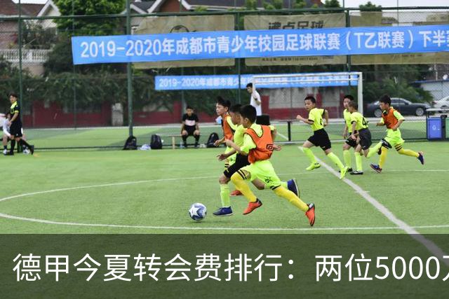 德甲今夏转会费排行：两位5000万领跑
