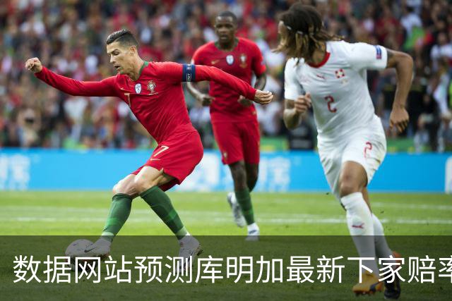 数据网站预测库明加最新下家赔率：湖人32%居首 骑士28%