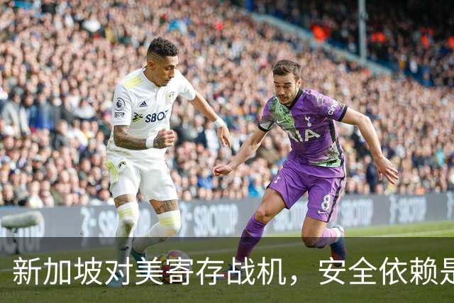 新加坡对美寄存战机，安全依赖是否可靠？