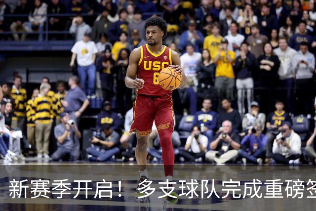 新赛季开启！多支球队完成重磅签约，湖人加入战局