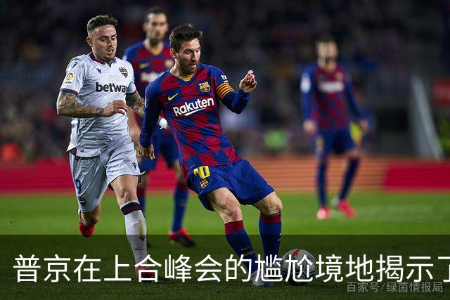 普京在上合峰会的尴尬境地揭示了何种现实？