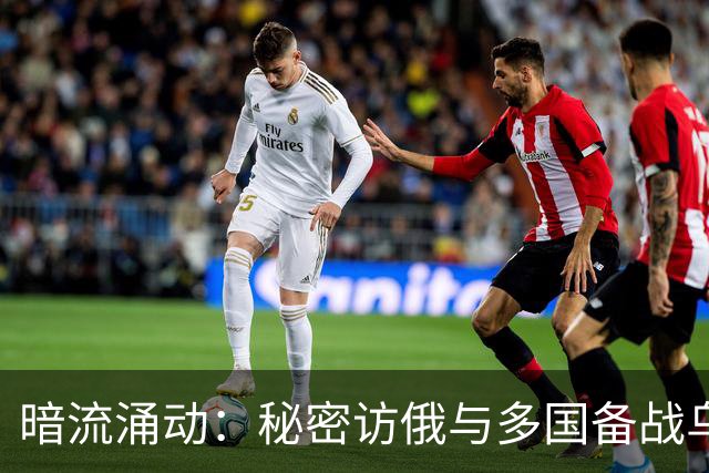 暗流涌动：秘密访俄与多国备战乌克兰