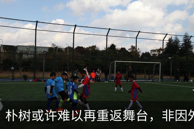 朴树或许难以再重返舞台，非因外界压力而是内心与身体的极限