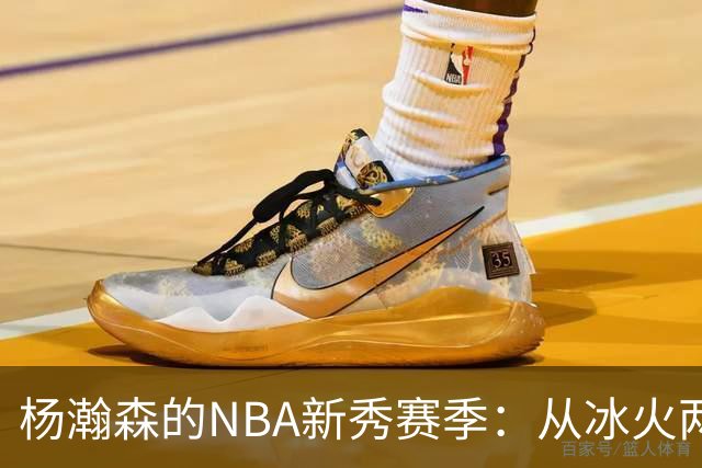 杨瀚森的NBA新秀赛季：从冰火两重天到自我重塑的成长之路