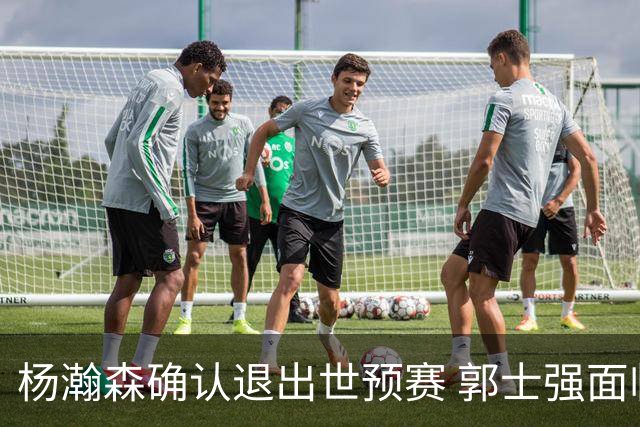 杨瀚森确认退出世预赛 郭士强面临挑战