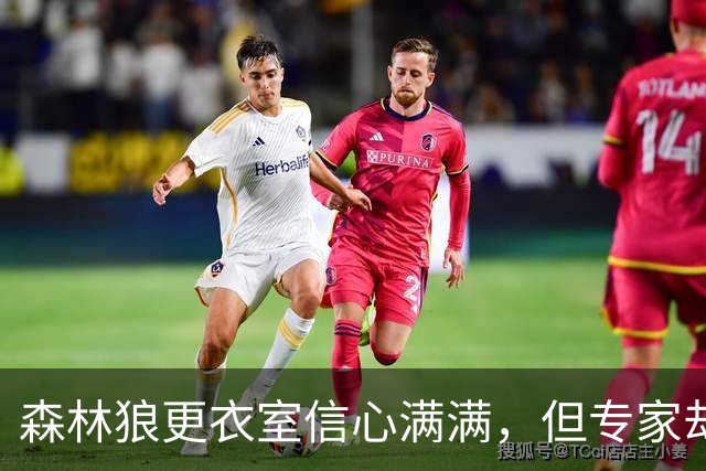 森林狼更衣室信心满满，但专家却称其前景暗淡