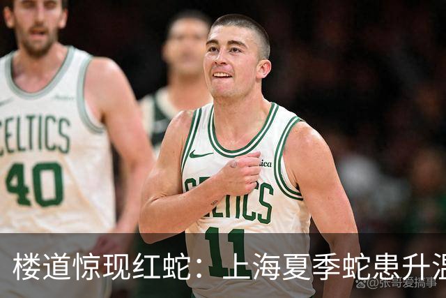 楼道惊现红蛇：上海夏季蛇患升温背后