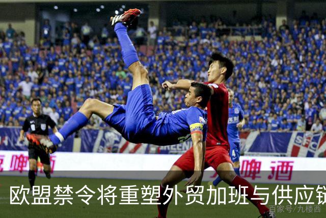 欧盟禁令将重塑外贸加班与供应链责任