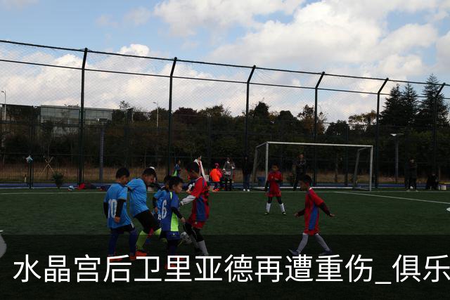 水晶宫后卫里亚德再遭重伤 俱乐部引援不变