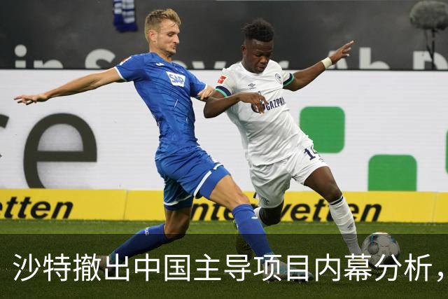 沙特撤出中国主导项目内幕分析，显现复杂国际局势