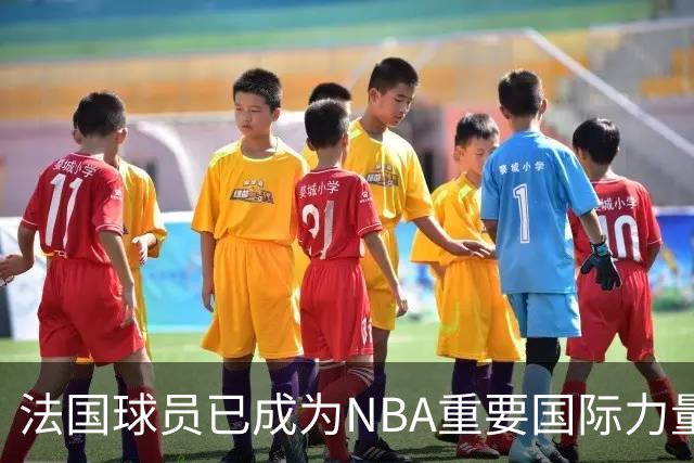 法国球员已成为NBA重要国际力量