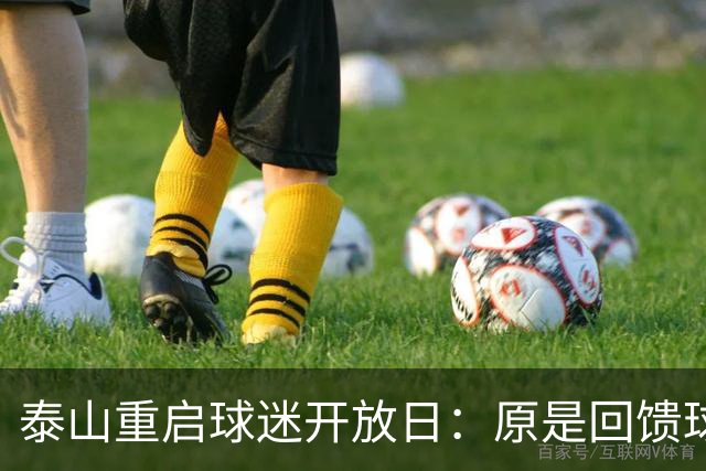 泰山重启球迷开放日：原是回馈球迷，非专为唐田“搭台