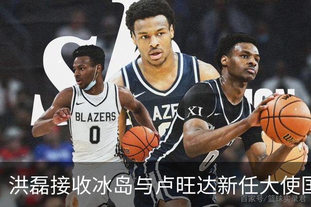 洪磊接收冰岛与卢旺达新任大使国书副本