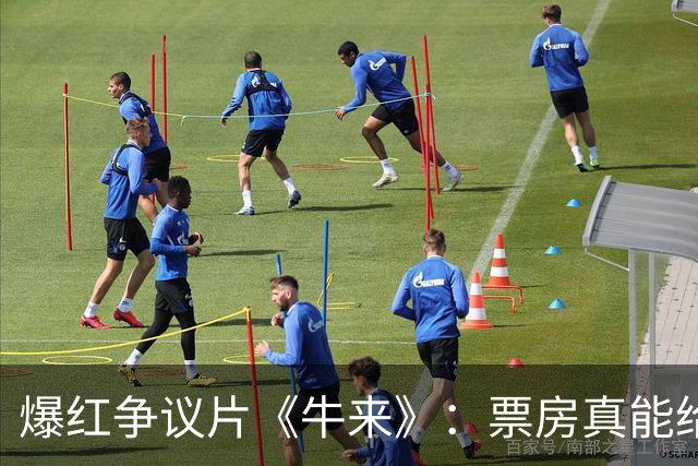 爆红争议片《牛来》：票房真能给导演带来多少？