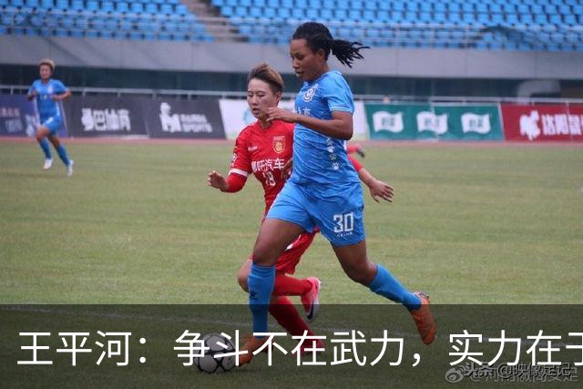 王平河：争斗不在武力，实力在于心