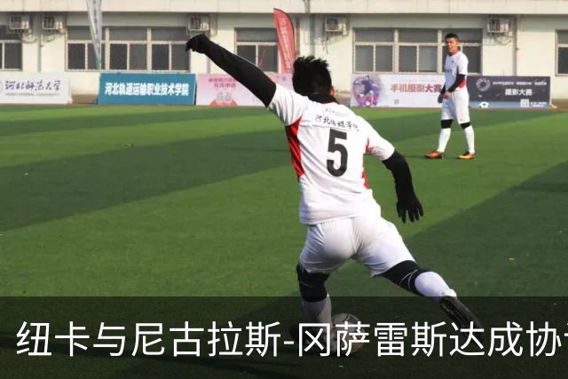 纽卡与尼古拉斯-冈萨雷斯达成协议，转会费最高5200万镑