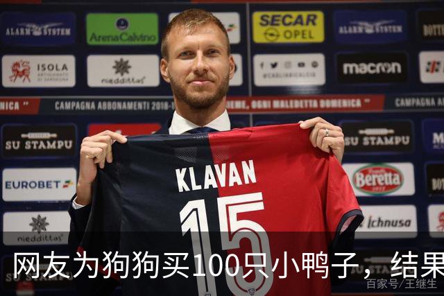 网友为狗狗买100只小鸭子，结果却引发激烈争斗