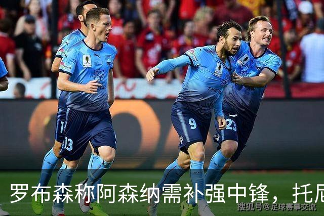 罗布森称阿森纳需补强中锋，托尼是可选方案