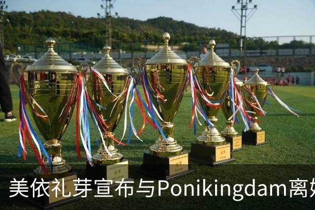 美依礼芽宣布与Ponikingdam离婚，事业也在重整中