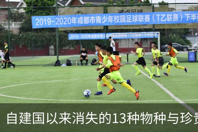 自建国以来消失的13种物种与珍贵影像