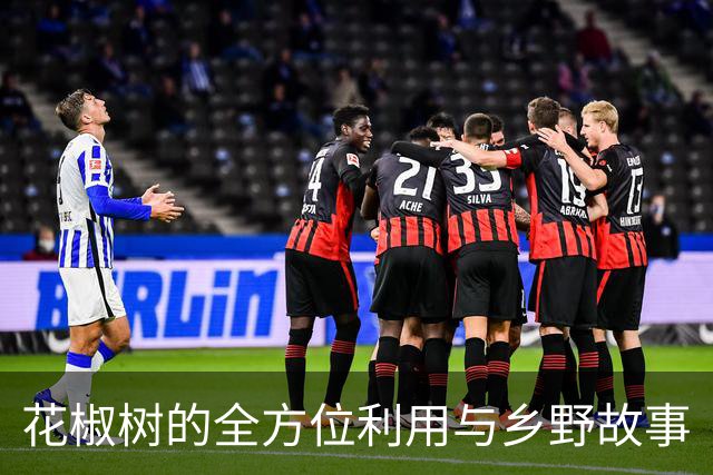 花椒树的全方位利用与乡野故事