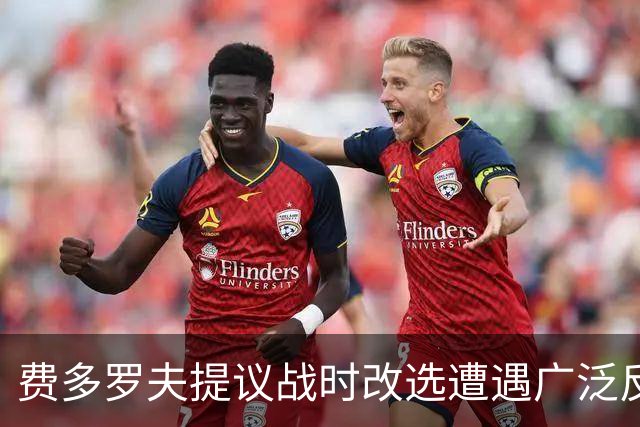 费多罗夫提议战时改选遭遇广泛反对