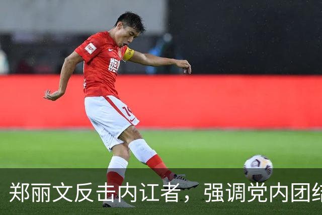郑丽文反击内讧者，强调党内团结的重要性