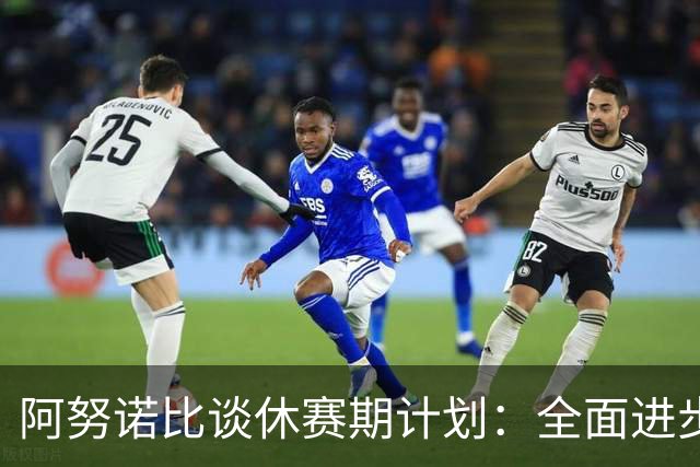 阿努诺比谈休赛期计划：全面进步并重视恢复