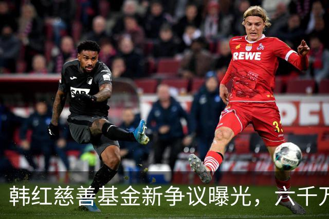 韩红慈善基金新争议曝光，六千万采购引发关注