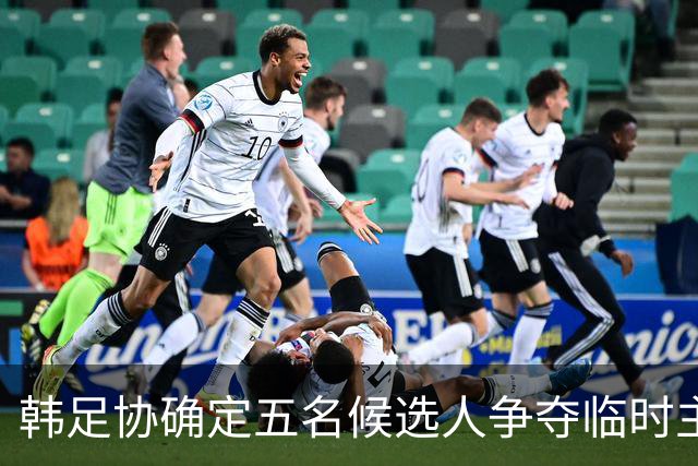 韩足协确定五名候选人争夺临时主帅